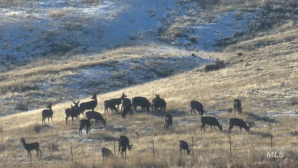 $1,200,000 | 2051 West Thompson Road, Homedale, ID 83628