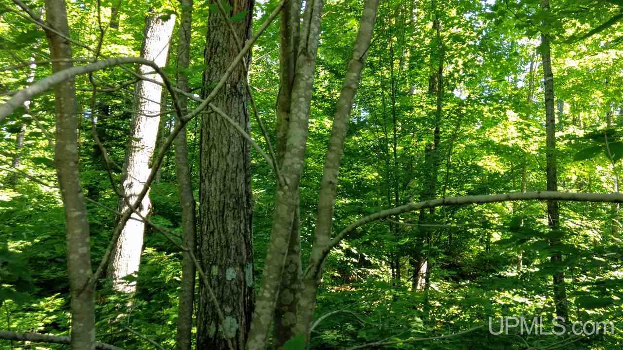 Tbd Lakeview Road Toivola, MI 49965 - Photo 33 of 43 Gallery Image 33