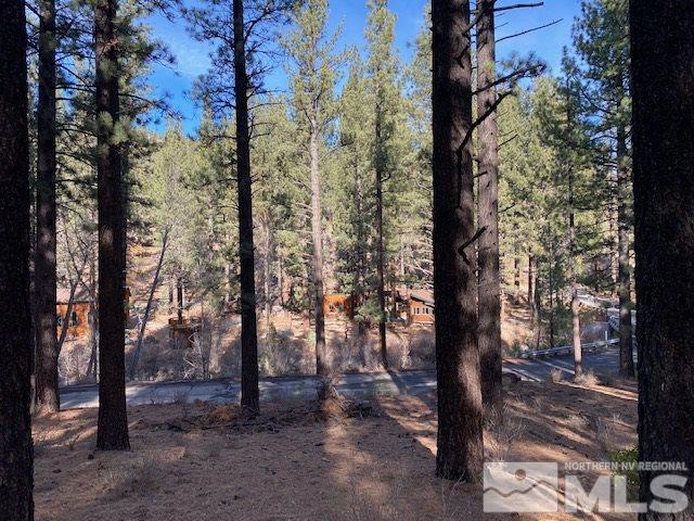 210 Pinon Road Markleeville, CA 96120 - Photo 1 of 16 Photo 1