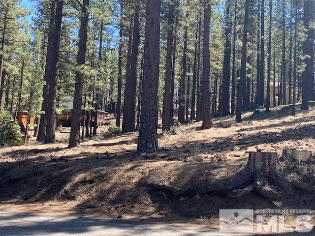 210 Pinon Road Markleeville, CA 96120 - Photo 11 of 16 Photo 11