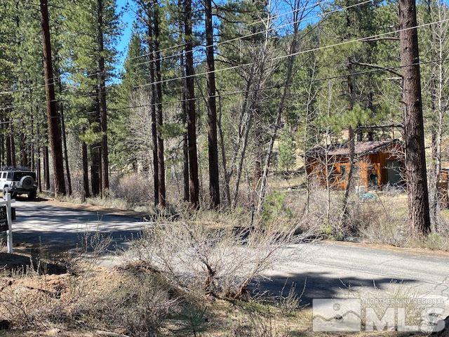 210 Pinon Road Markleeville, CA 96120 - Photo 12 of 16 Photo 12