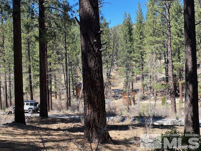 210 Pinon Road Markleeville, CA 96120 - Photo 13 of 16 Photo 13