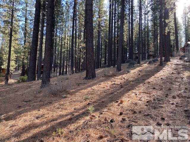 210 Pinon Road Markleeville, CA 96120 - Photo 14 of 16 Photo 14