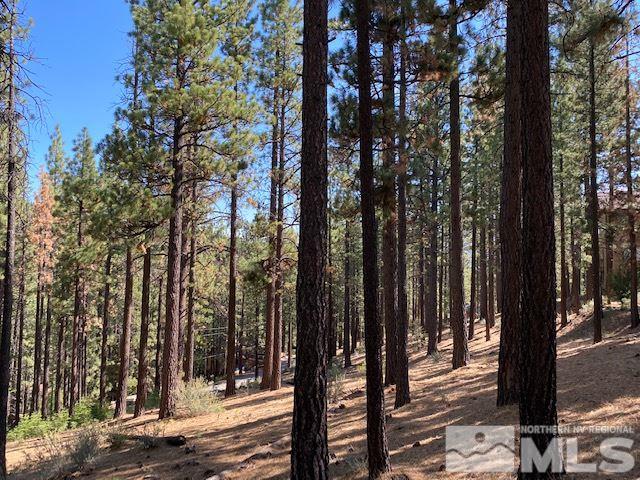 210 Pinon Road Markleeville, CA 96120 - Photo 15 of 16 Photo 15
