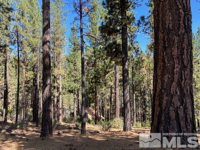 210 Pinon Road Markleeville, CA 96120 - Photo 16 of 16 Photo 16