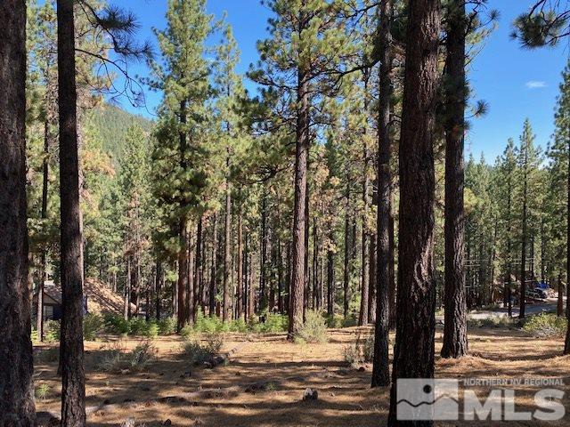 210 Pinon Road Markleeville, CA 96120 - Photo 2 of 16 Photo 2