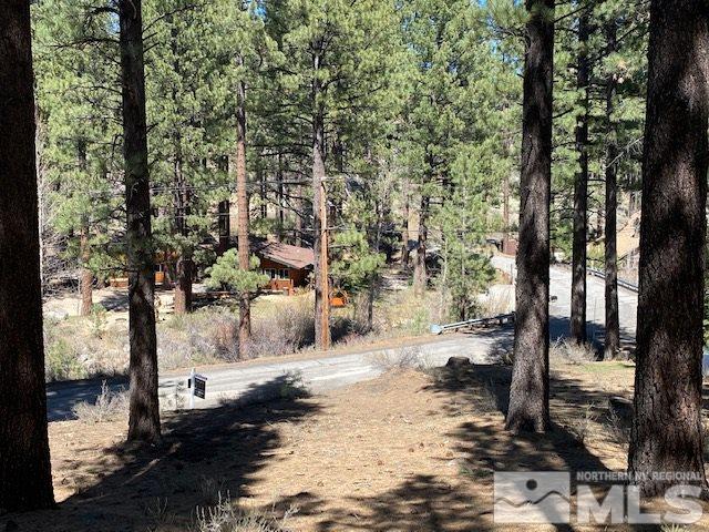 210 Pinon Road Markleeville, CA 96120 - Photo 3 of 16 Photo 3