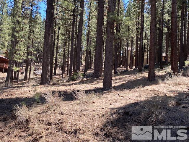 210 Pinon Road Markleeville, CA 96120 - Photo 4 of 16 Photo 4