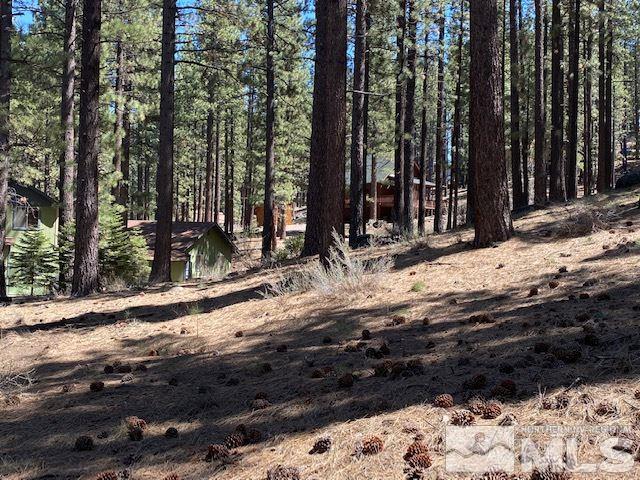 210 Pinon Road Markleeville, CA 96120 - Photo 5 of 16 Photo 5