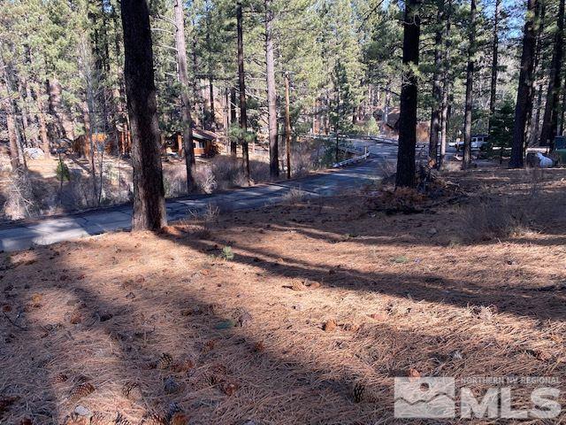 210 Pinon Road Markleeville, CA 96120 - Photo 6 of 16 Photo 6