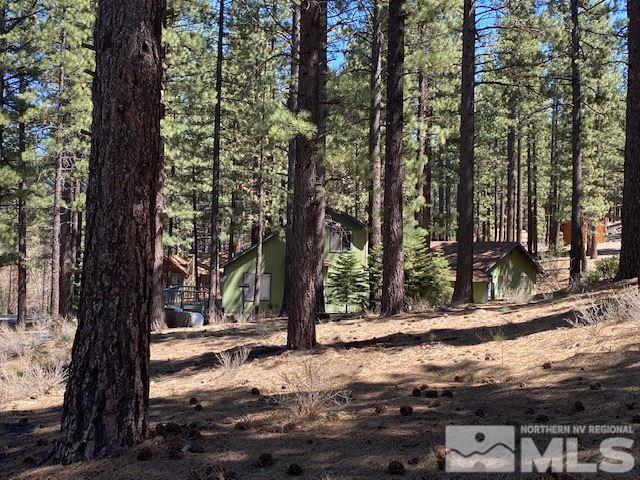 210 Pinon Road Markleeville, CA 96120 - Photo 8 of 16 Photo 8