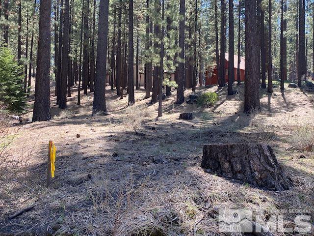 210 Pinon Road Markleeville, CA 96120 - Photo 10 of 16 Photo 10