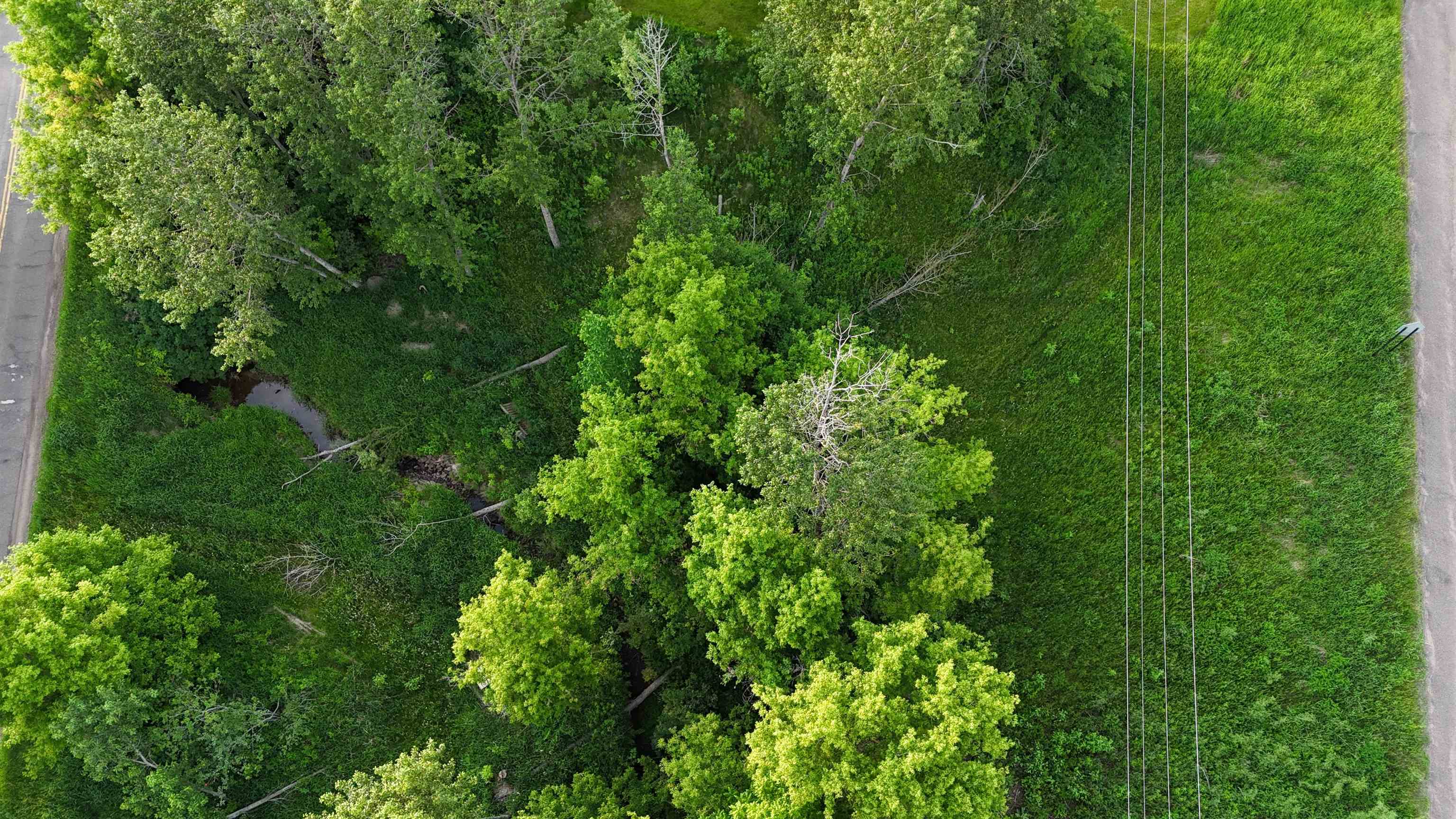 3653 Front Street Barnum, MN 55707 - Photo 49 of 50 Bird's eye view