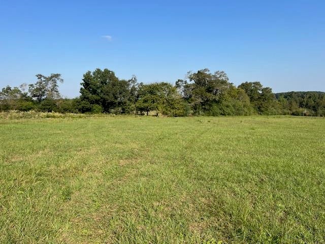 41-ac Cool Springs Road Opp, AL 36467 - Photo 3 of 15 Gallery Image 3