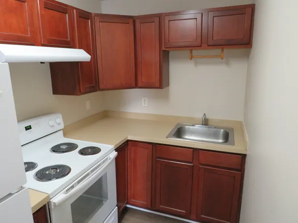 a kitchen with a sink a stove and cabinets