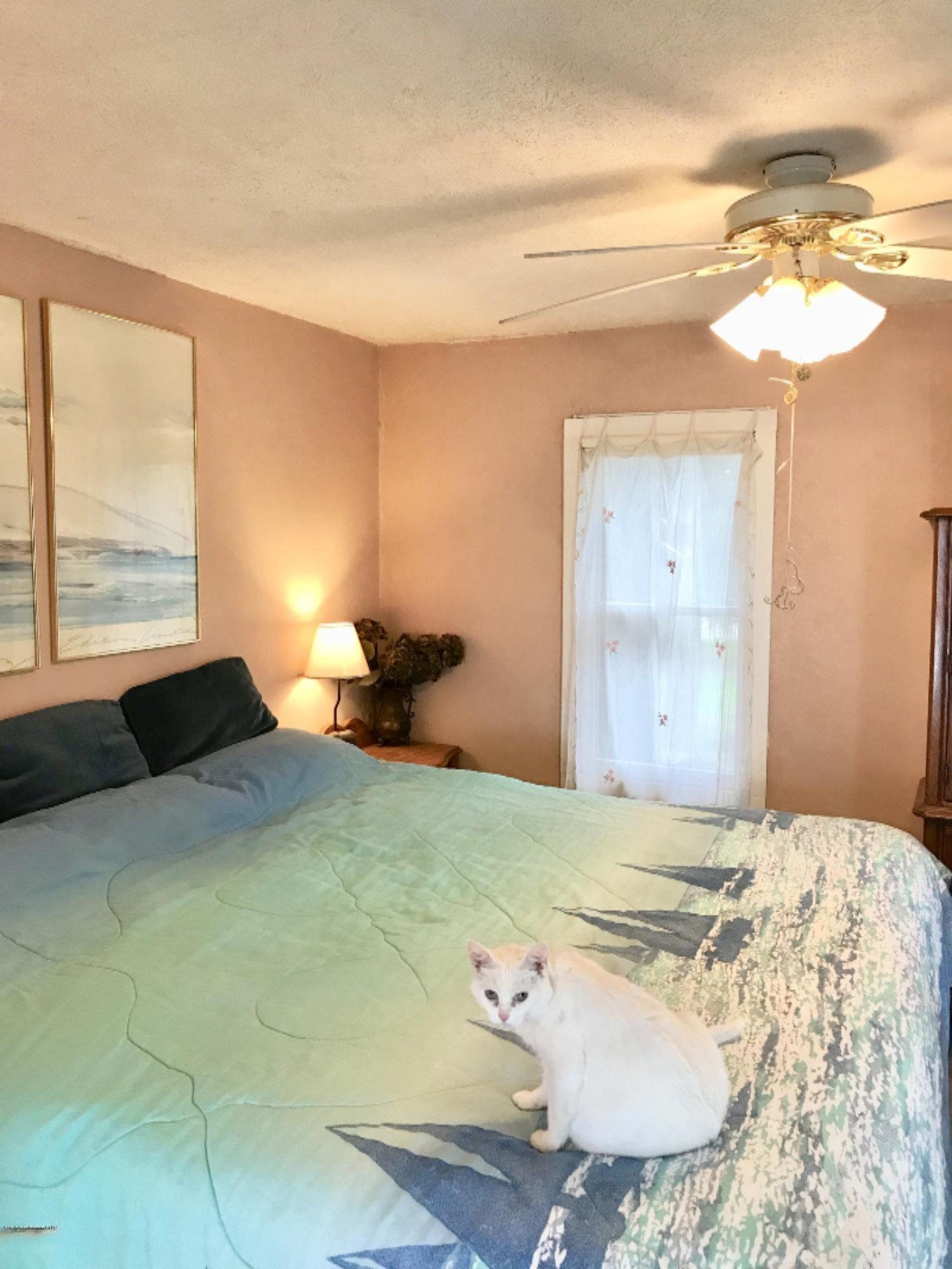 3126 Lakeshore Road Manistee, MI 49660 - Photo 5 of 26 fullsizeoutput_2971