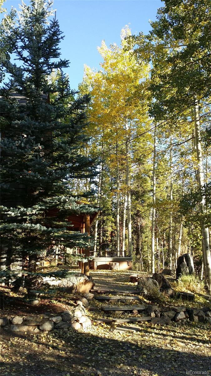 227 Cedar Road Evergreen, CO 80439 - Photo 8 of 31 Gallery Image 8