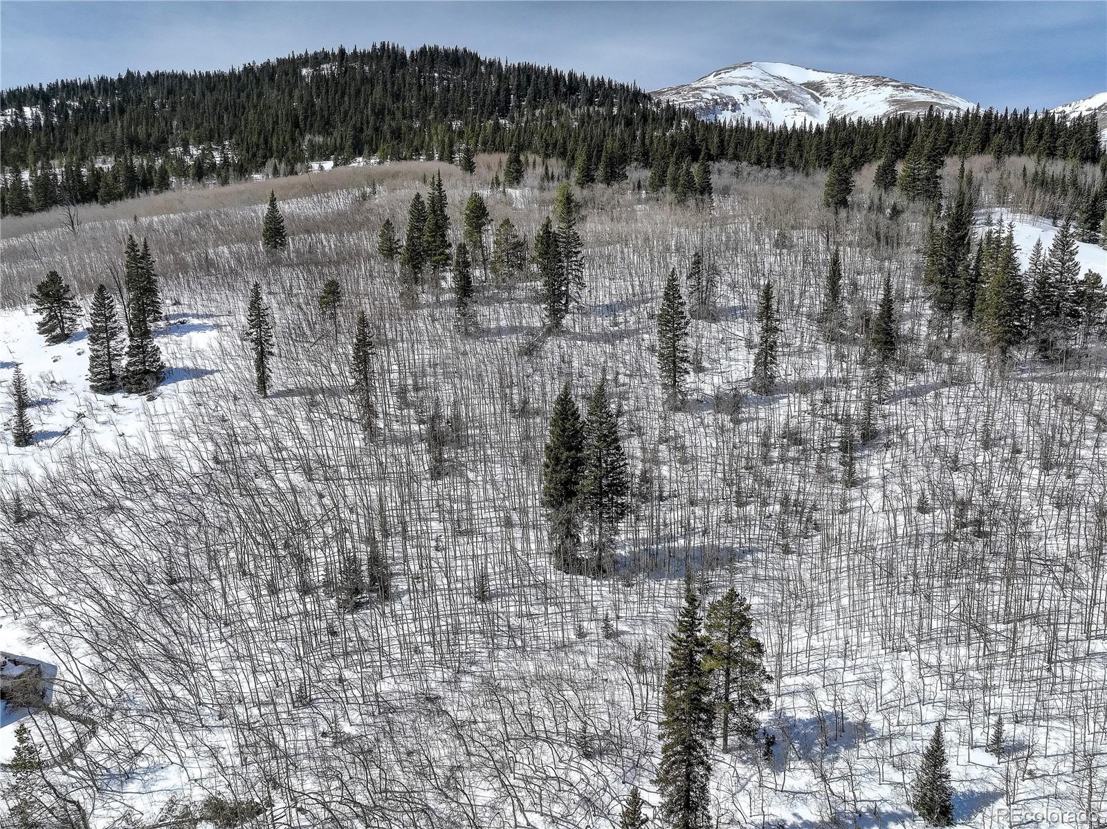 1287 Quartzville Road Alma, CO 80420 - Photo 16 of 17 Gallery Image 16