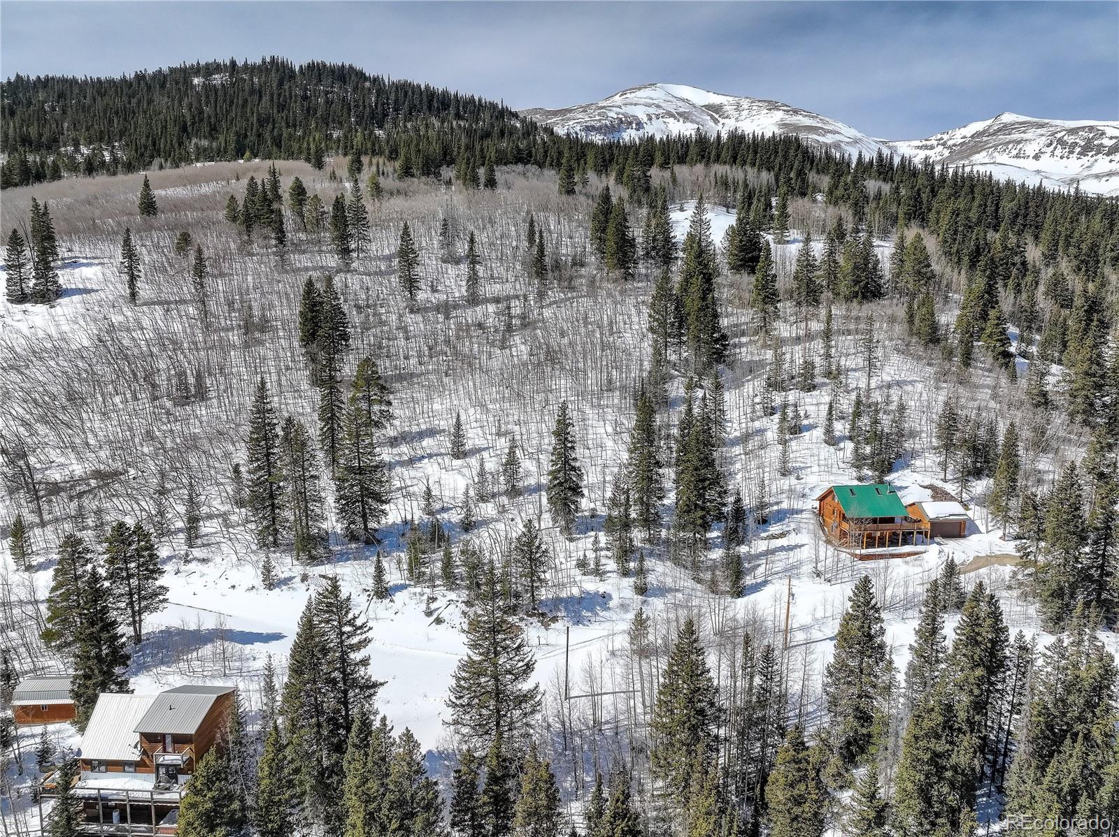 1287 Quartzville Road Alma, CO 80420 - Photo 3 of 17 Gallery Image 3