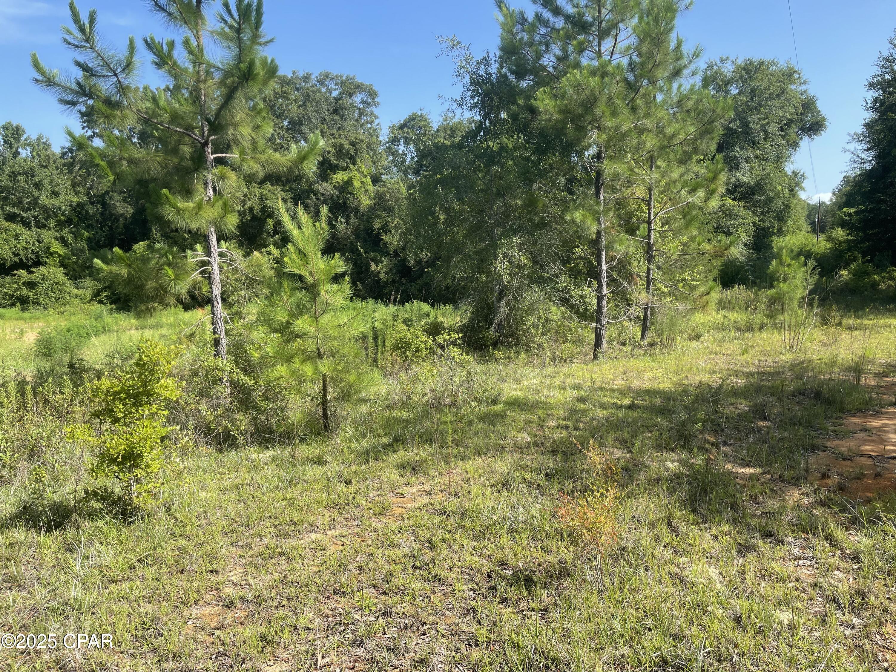 0 North Holmes Creek Road Graceville, FL 32440 - Photo 9 of 16