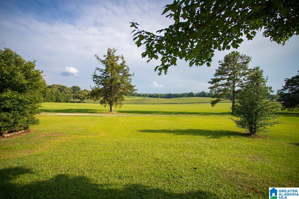 16003 Montevallo Road Brierfield, AL 35035 - Photo 48 of 55