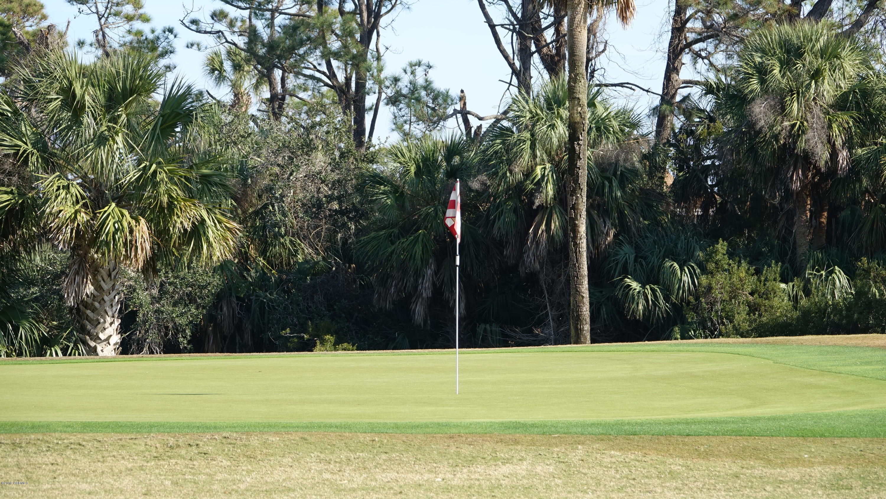 669 Dolphin Road Fripp Island, SC 29920 - Photo 28 of 33 7th Hole Ocean Point Golf Course