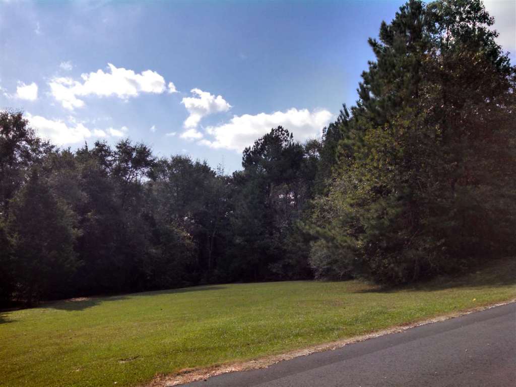 221 State Rd S-37-11 Fair Play, SC 29643 - Photo 10 of 24 Gallery Image 10