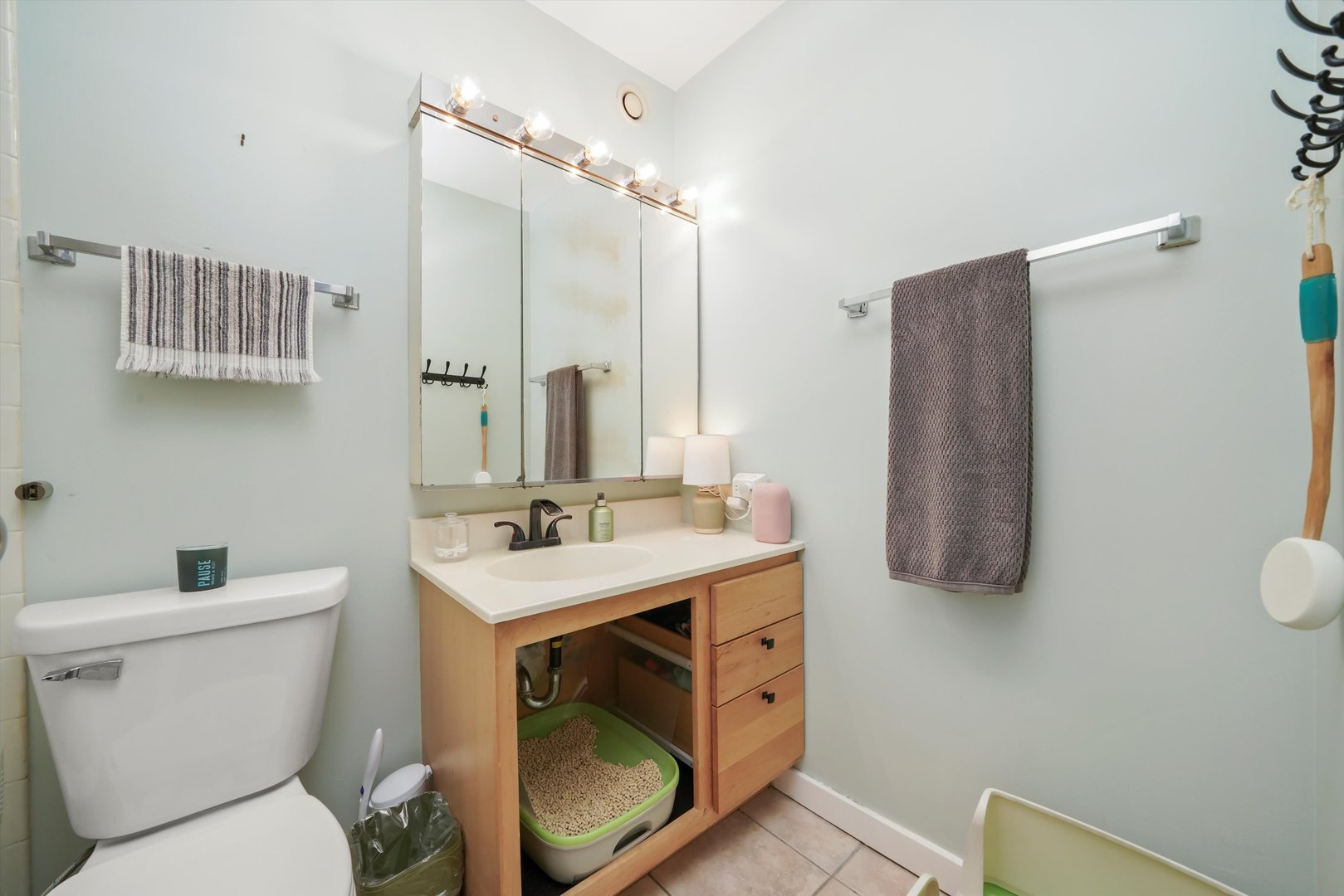 5320 North Sheridan Road, Unit 2304 Chicago, IL 60640 - Photo 8 of 28 a bathroom with a sink toilet and mirror