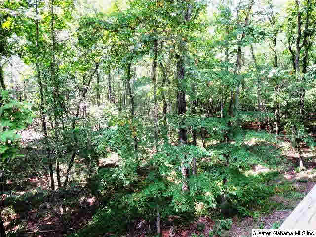 95 Fox Run Lineville, AL 36266 - Photo 17 of 21