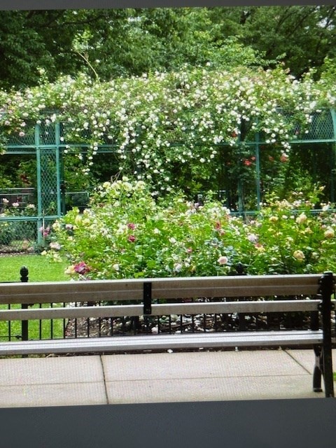 50 Green Street, Unit 206 Brookline, MA 02446 - Photo 11 of 16