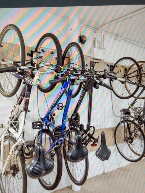 50 Green Street, Unit 206 Brookline, MA 02446 - Photo 12 of 16