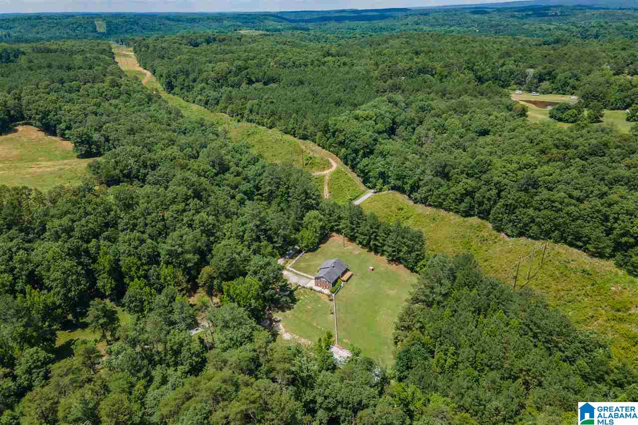 1091 Center Hill Road Trafford, AL 35172 - Photo 48 of 49