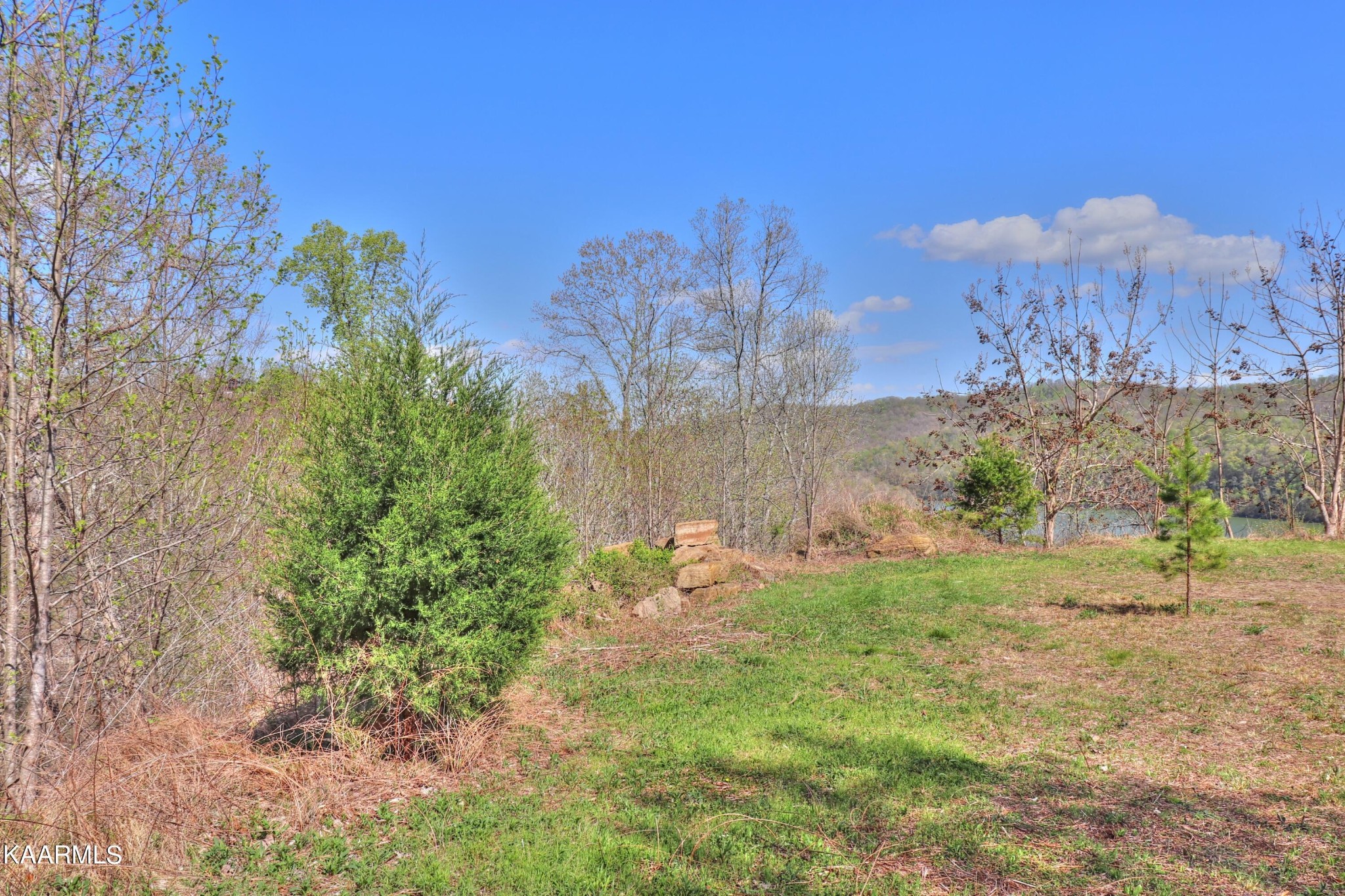 873 Clearwater Road New Tazewell, TN 37825 - Photo 17 of 38