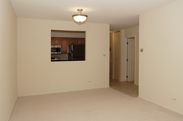 725 West Huntington Commons Road, Unit 116 Mount Prospect, IL 60056 - Photo 3 of 10