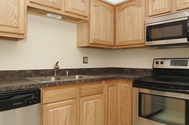 725 West Huntington Commons Road, Unit 116 Mount Prospect, IL 60056 - Photo 4 of 10