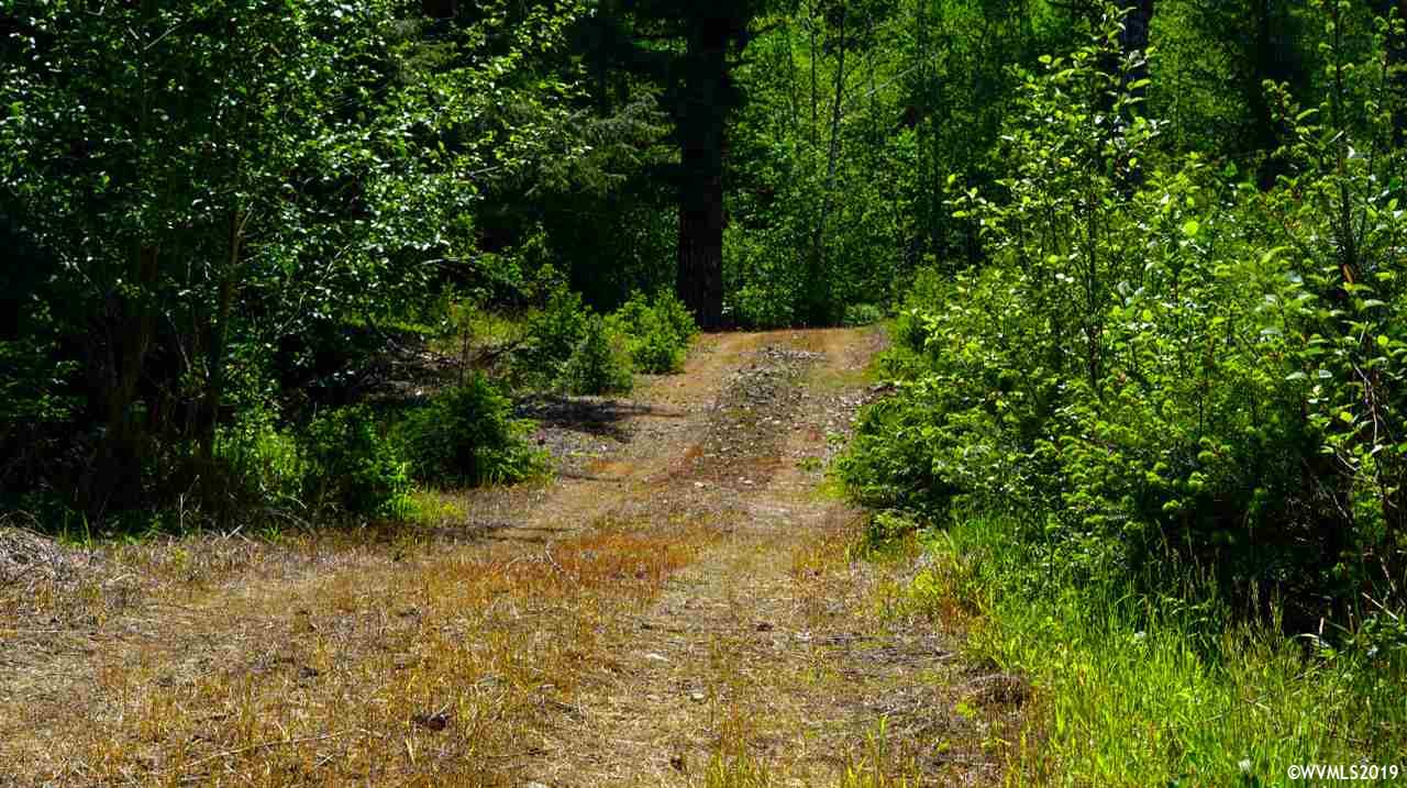 60008 Southwest Hebo Road Grand Ronde, OR 97347 - Photo 7 of 24 Gallery Image 7