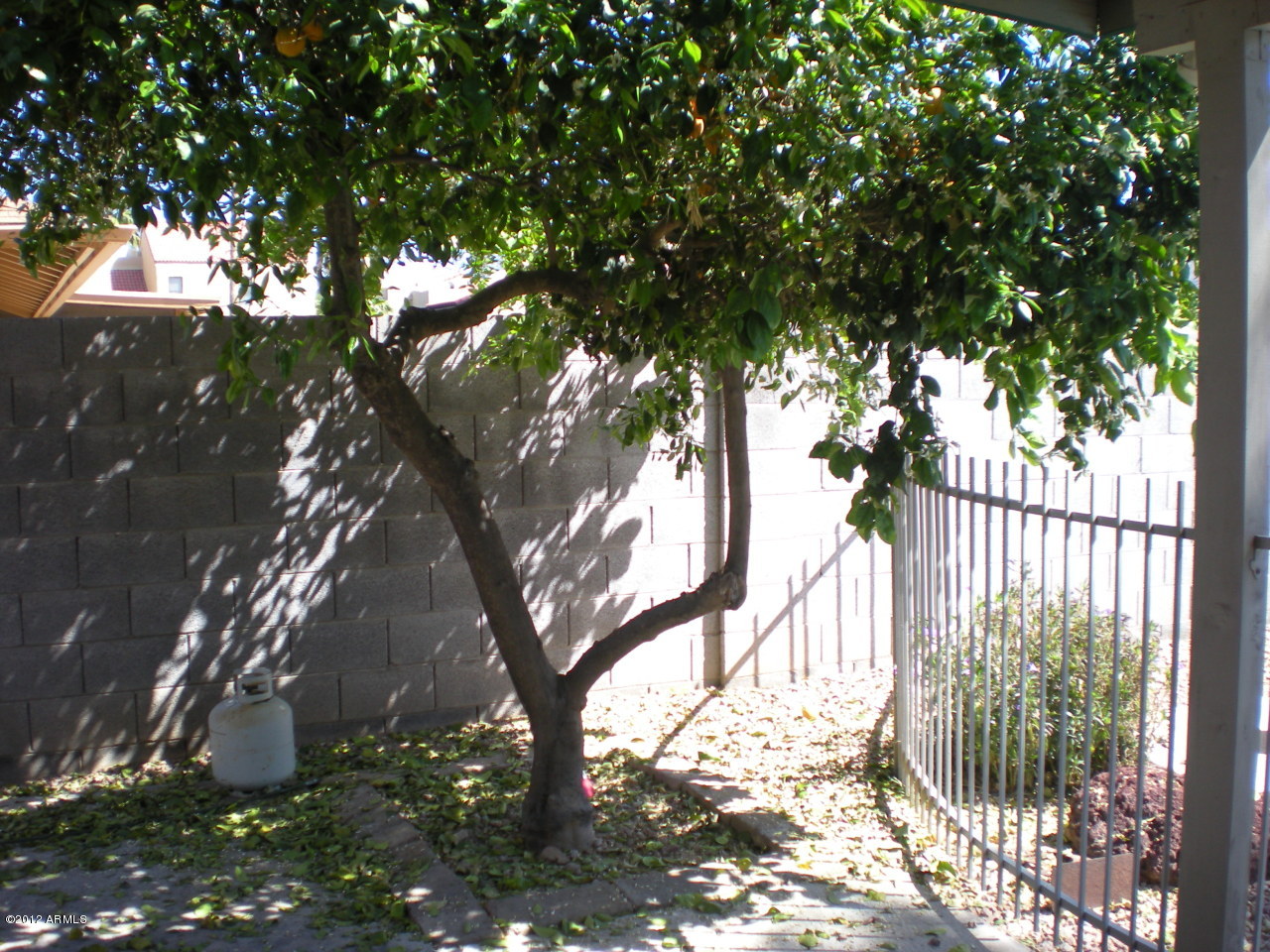 3017 East Cochise Road Phoenix, AZ 85028 - Photo 16 of 19 DSCN1729