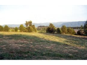 755 Greystone Road Greeneville, TN 37743 - Photo 1 of 1 Photo 1
