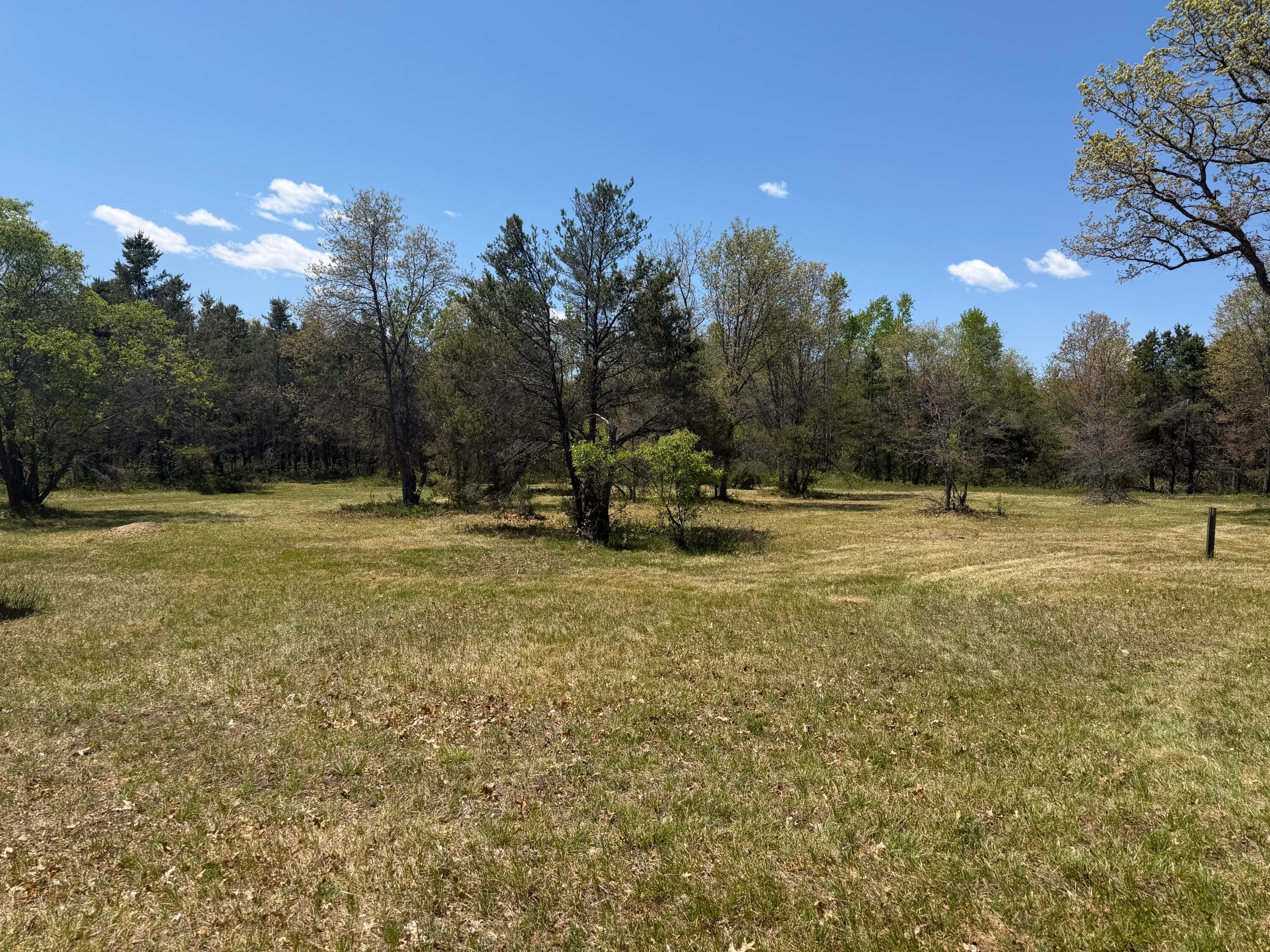 323 Goline Road Grayling, MI 49738 - Photo 14 of 24 Gallery Image 14