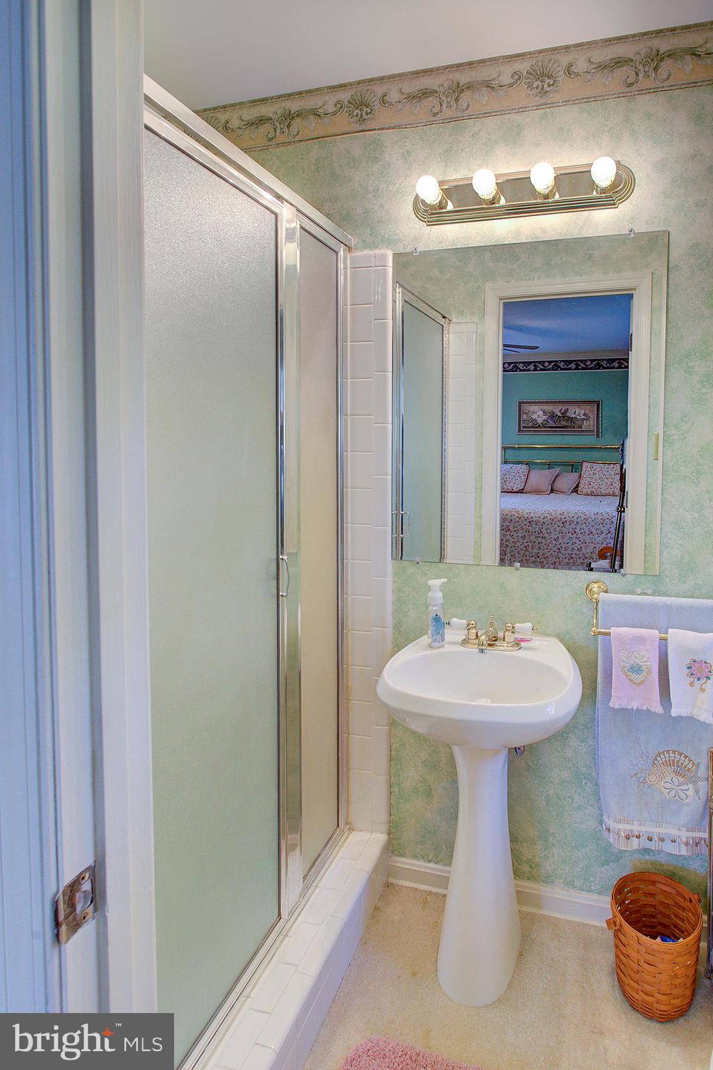 16962 Hamilton Station Road Paeonian Springs, VA 20129 - Photo 16 of 50 Master Bath