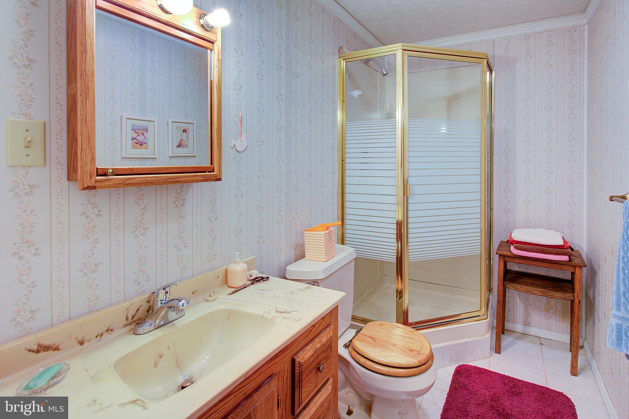 16962 Hamilton Station Road Paeonian Springs, VA 20129 - Photo 22 of 50 Basement bathroom
