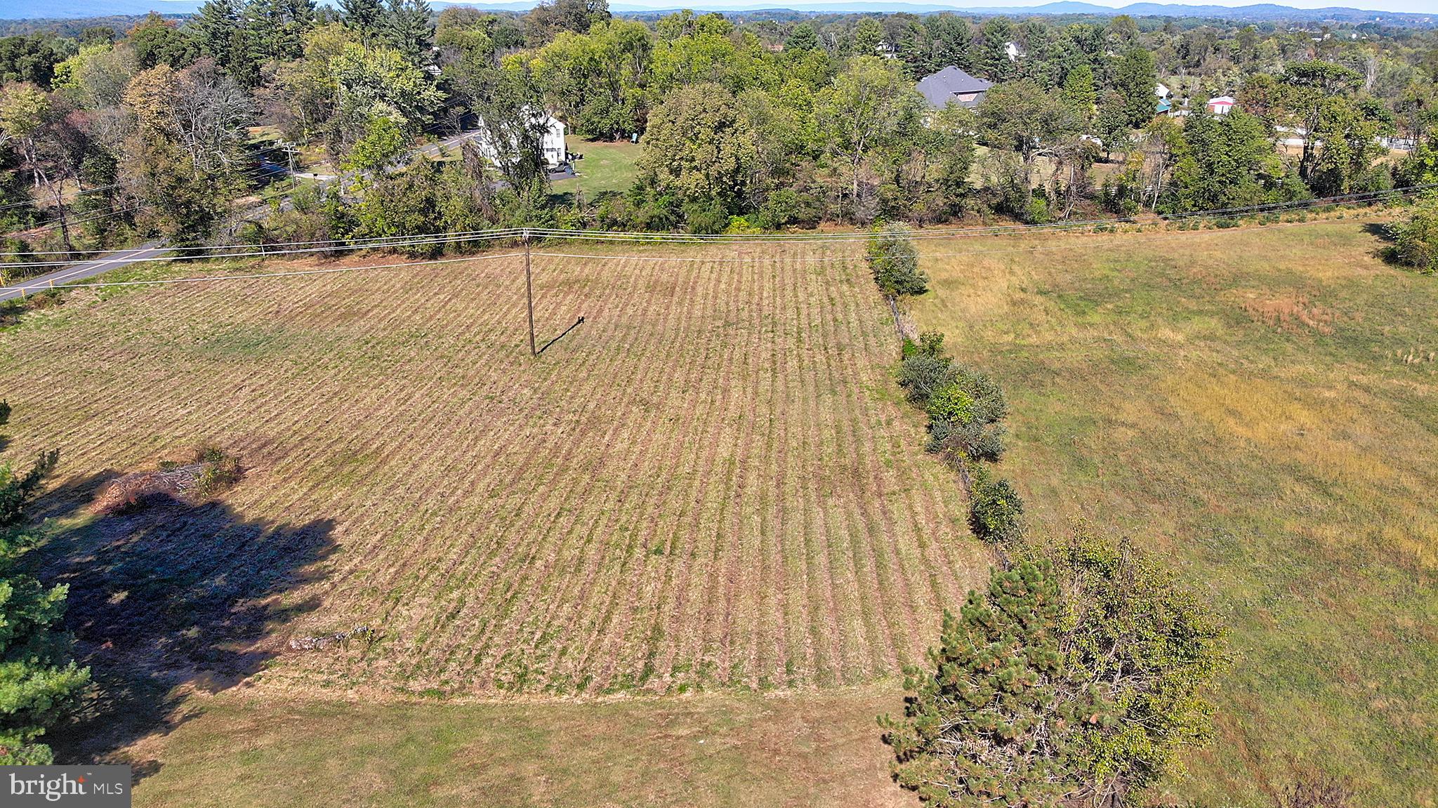 16962 Hamilton Station Road Paeonian Springs, VA 20129 - Photo 42 of 50 North field