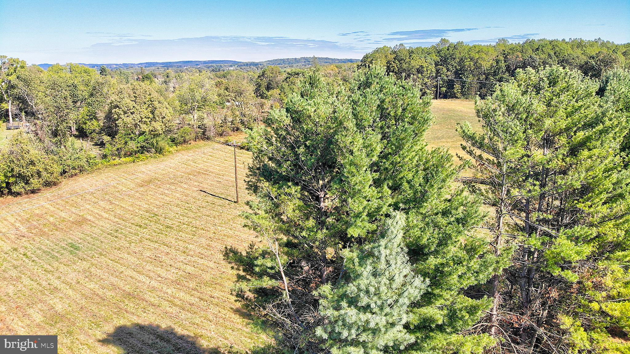 16962 Hamilton Station Road Paeonian Springs, VA 20129 - Photo 48 of 50 North Field view