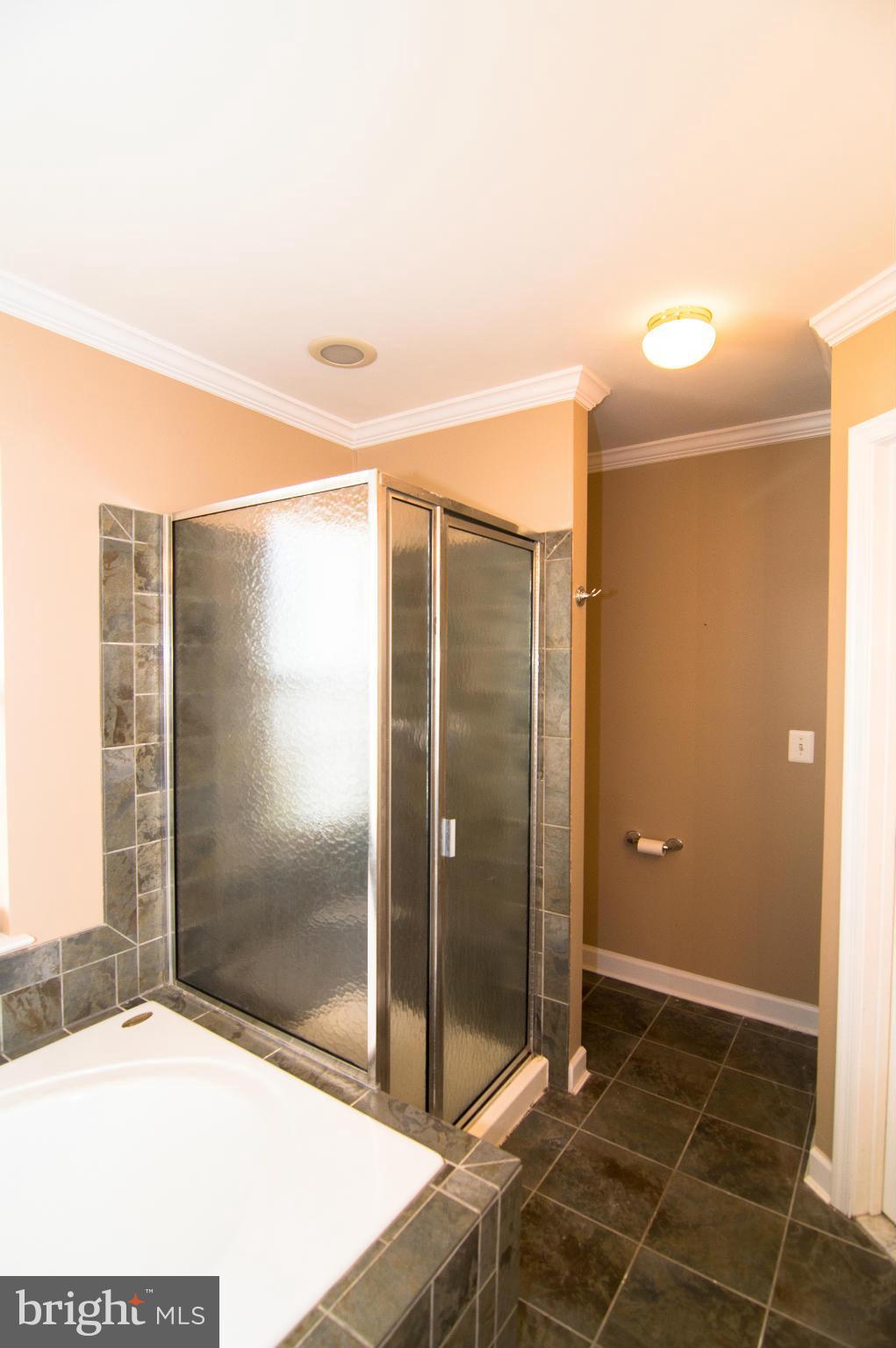 43004 Center Street Chantilly, VA 20152 - Photo 21 of 30 Upper Level Bath (Master)