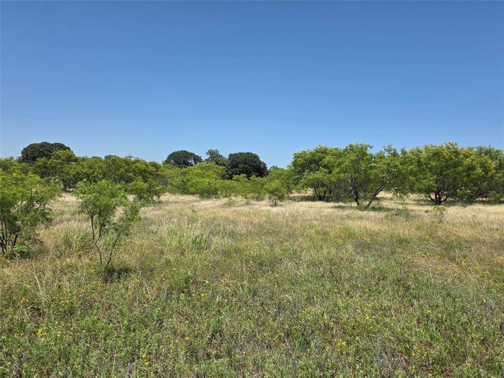 1000 County Road 375 Rising Star, TX 76471 - Photo 24 of 40