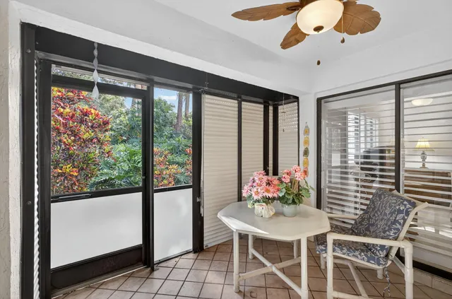a view of a patio with couple of chairs and a potted plant