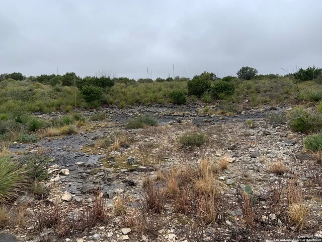a view of a green field