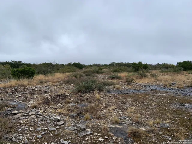 a view of a city with lush green forest