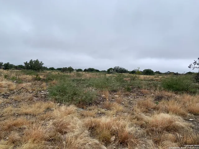 a view of a yard with a slide