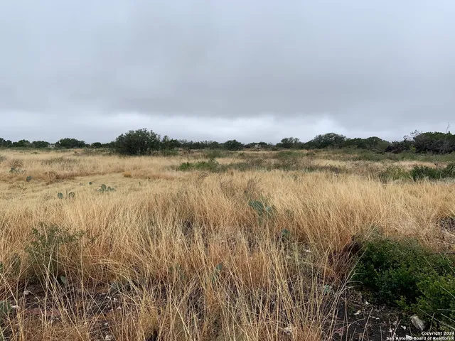 a view of a dry yard